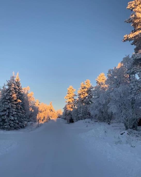 Seitapolku 12 Villa Saariselkä Eksteriør billede
