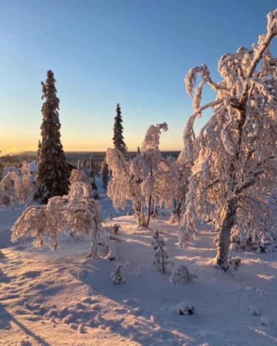Seitapolku 12 Villa Saariselkä Eksteriør billede