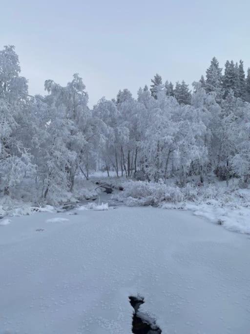 Seitapolku 12 Villa Saariselkä Eksteriør billede